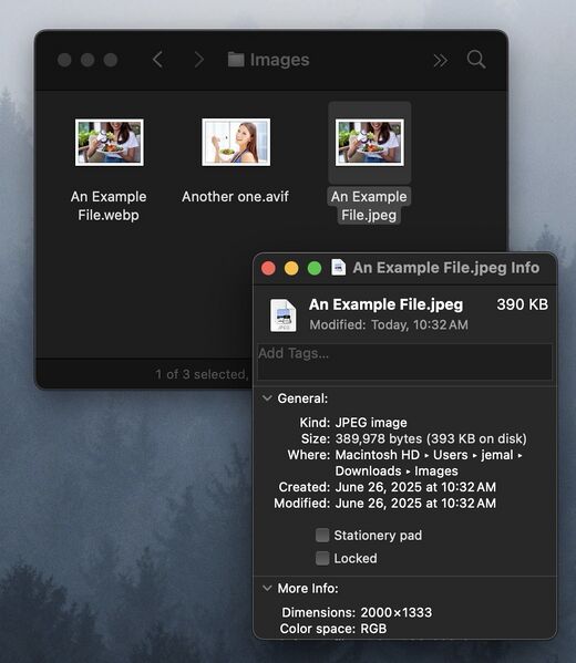 File:Convert3.jpg